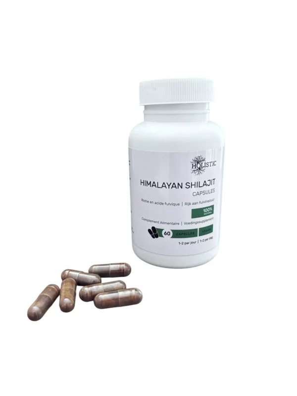 Holistic, Shilajit de l'Himalaya déshydraté, 60 capsules